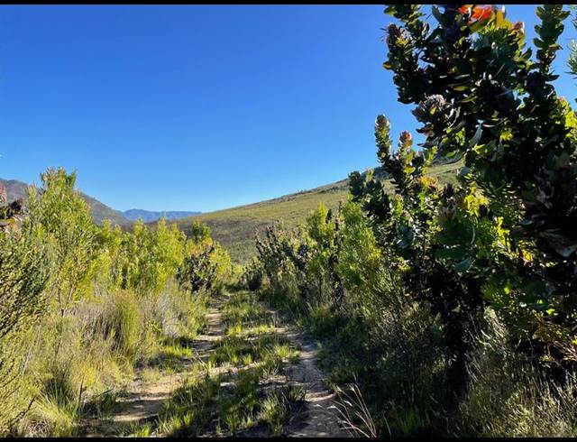 LAND FOR SALE IN TSITSIKAMMA